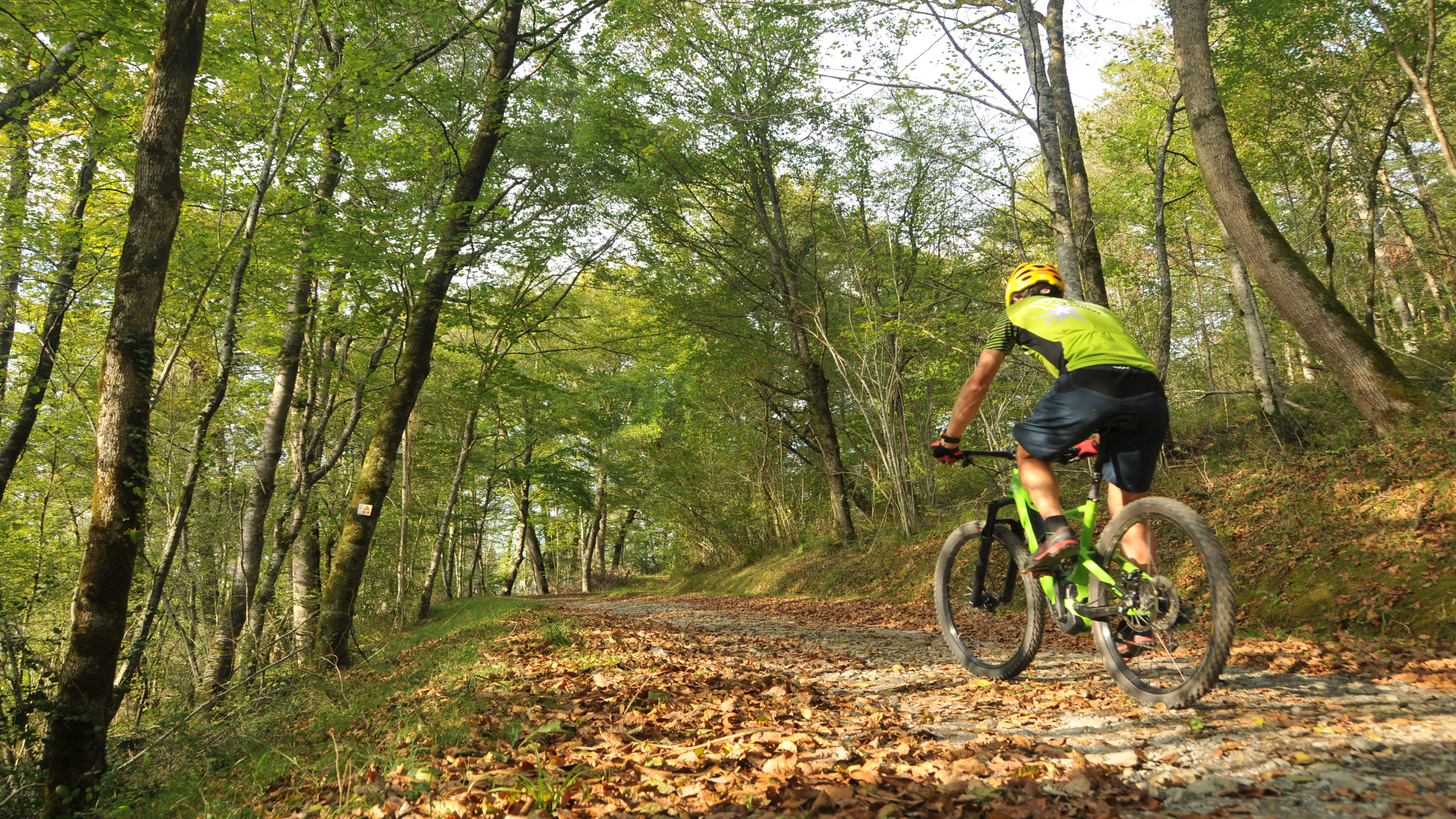 VTTAE N°77 Entre Gaves et Joos Oloron-Sainte-Marie Nouvelle-Aquitaine