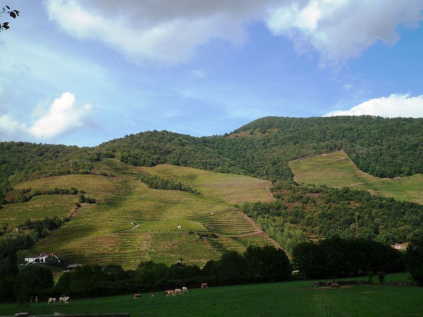 Etchaine Ispoure Nouvelle-Aquitaine Etchaine Ispoure Nouvelle-Aquitaine