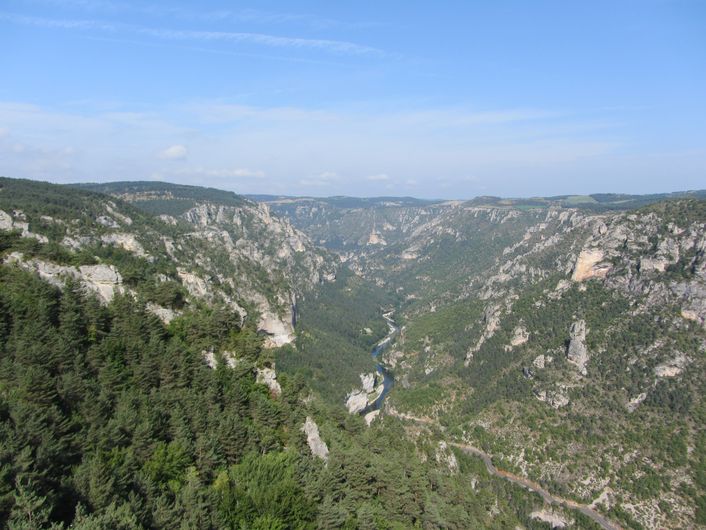 Oiseaux des causses et des gorges La Malène Occitanie