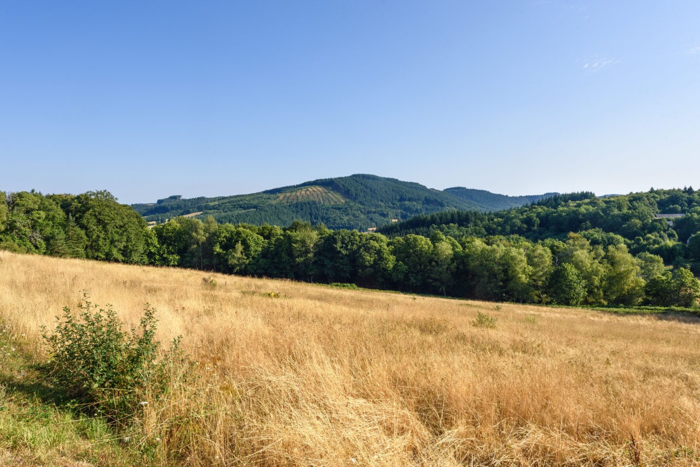 Le Bois du cochon Chamberet Nouvelle-Aquitaine Le Bois du cochon Chamberet Nouvelle-Aquitaine