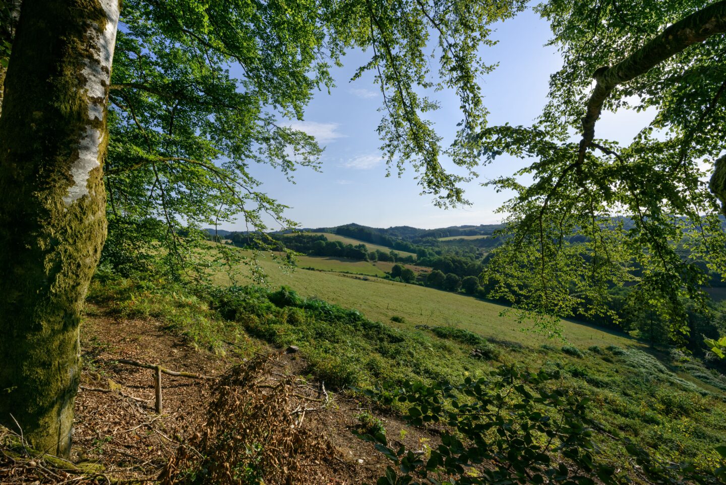 Saint-Dulcet à VTT Chamberet Nouvelle-Aquitaine Saint-Dulcet à VTT Chamberet Nouvelle-Aquitaine