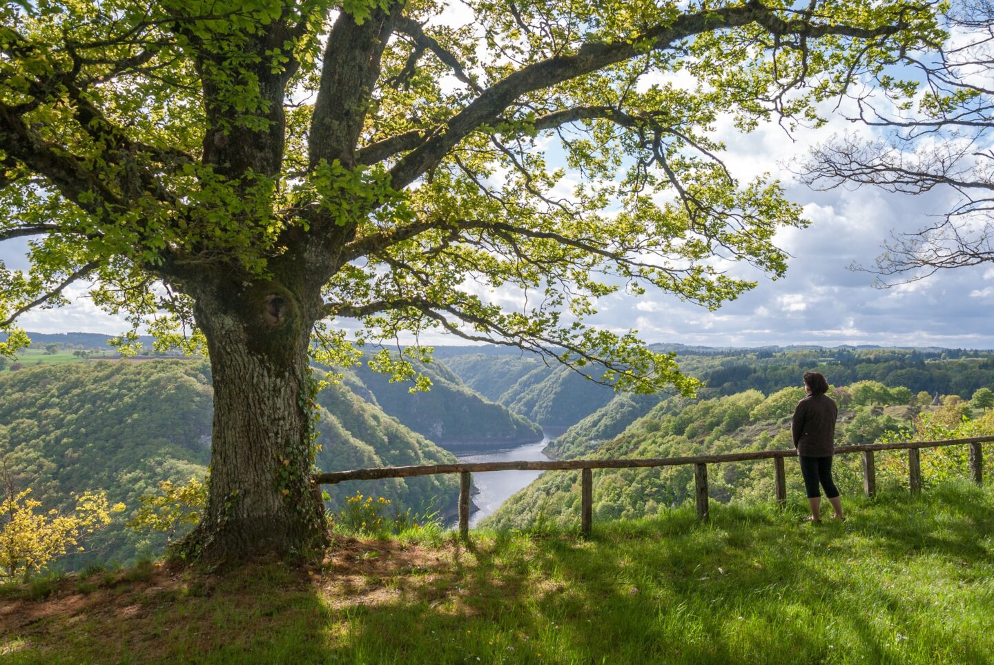 Cyclo Circuit sportif Plateau bortois 63 km Ussel Nouvelle-Aquitaine