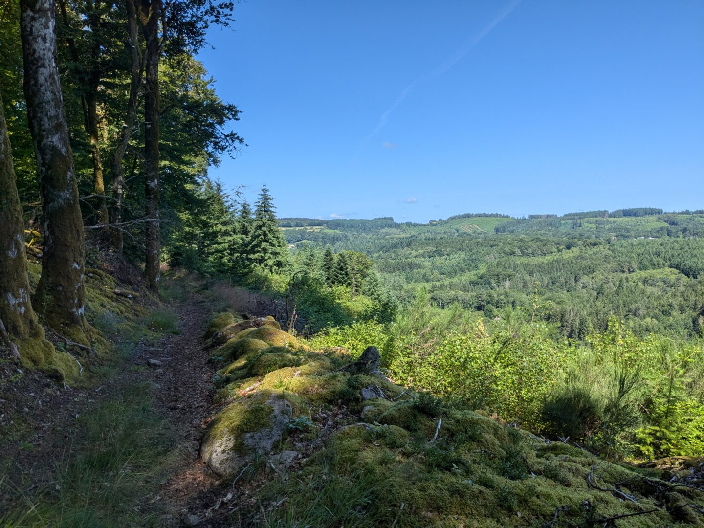 Landes et Tourbières Tarnac Nouvelle-Aquitaine