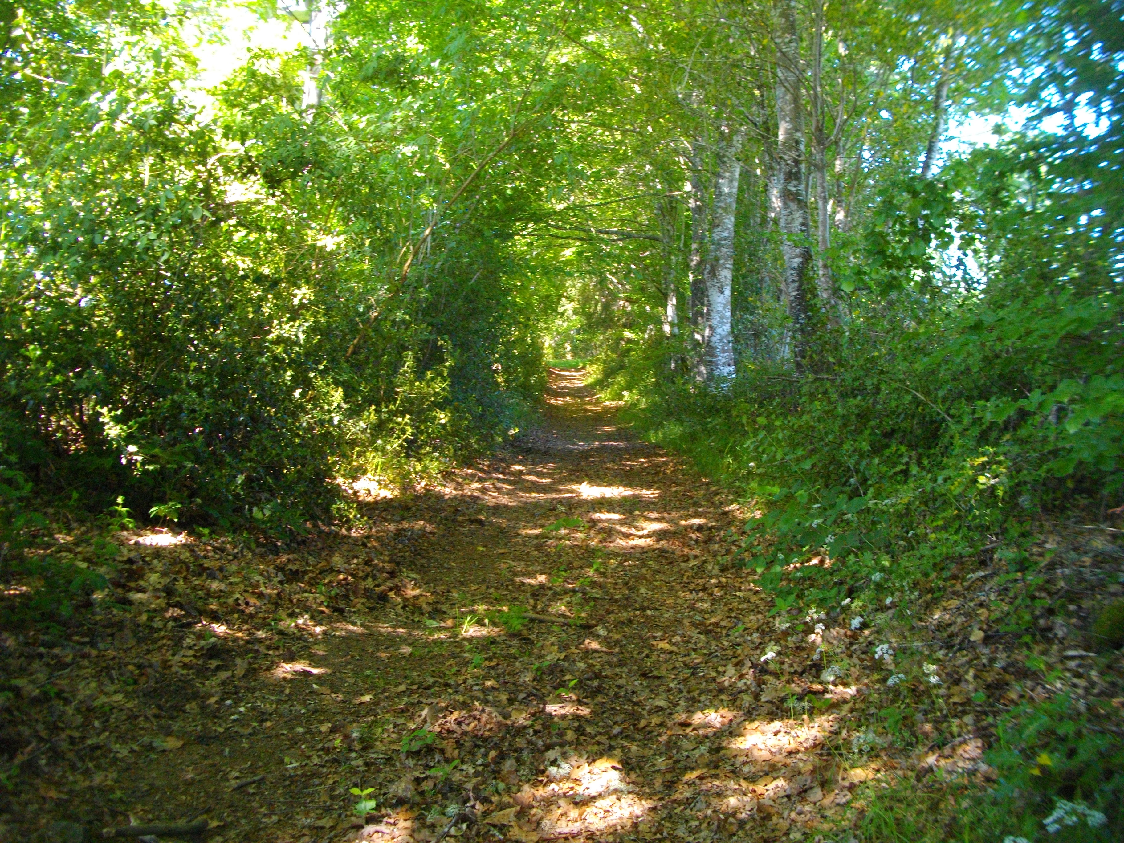 VTT Gravel Vers Pras 25 km circuit 49 Sornac Nouvelle-Aquitaine