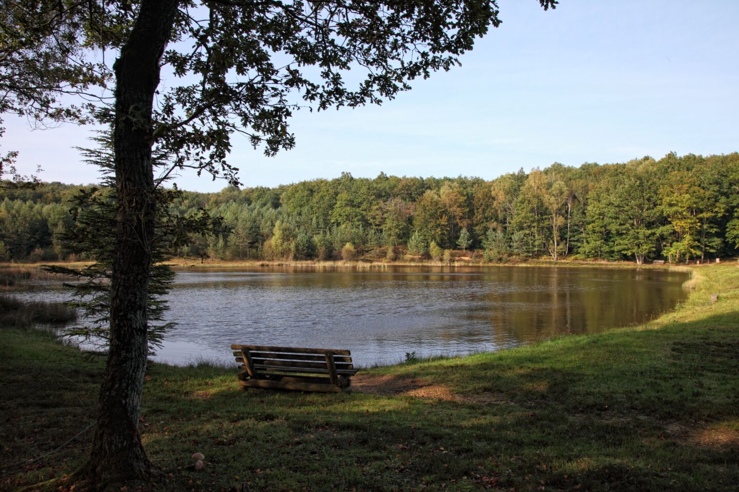 VTT Gravel La Forêt de Mirambel 39 km circuit 52 Sornac Nouvelle-Aquitaine VTT Gravel La Forêt de Mirambel 39 km circuit 52 Sornac Nouvelle-Aquitaine