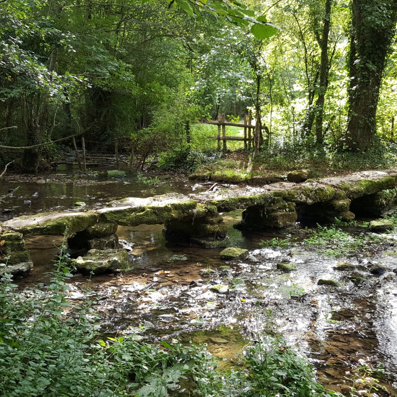 Le musson et le marcusson Cherveux Nouvelle-Aquitaine