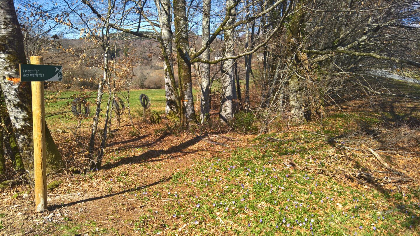 Sentier d'interprétation des Merlettes Saint-Hilaire-les-Courbes Nouvelle-Aquitaine