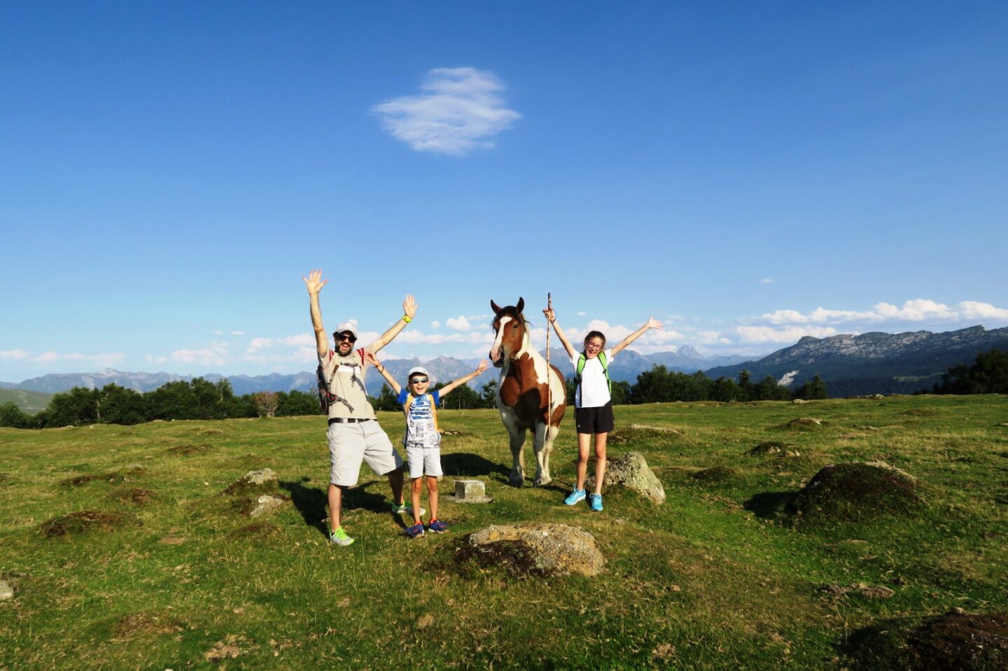 N°12 Barétous Pic Soulaing Arette Nouvelle-Aquitaine N°12 Barétous Pic Soulaing Arette Nouvelle-Aquitaine