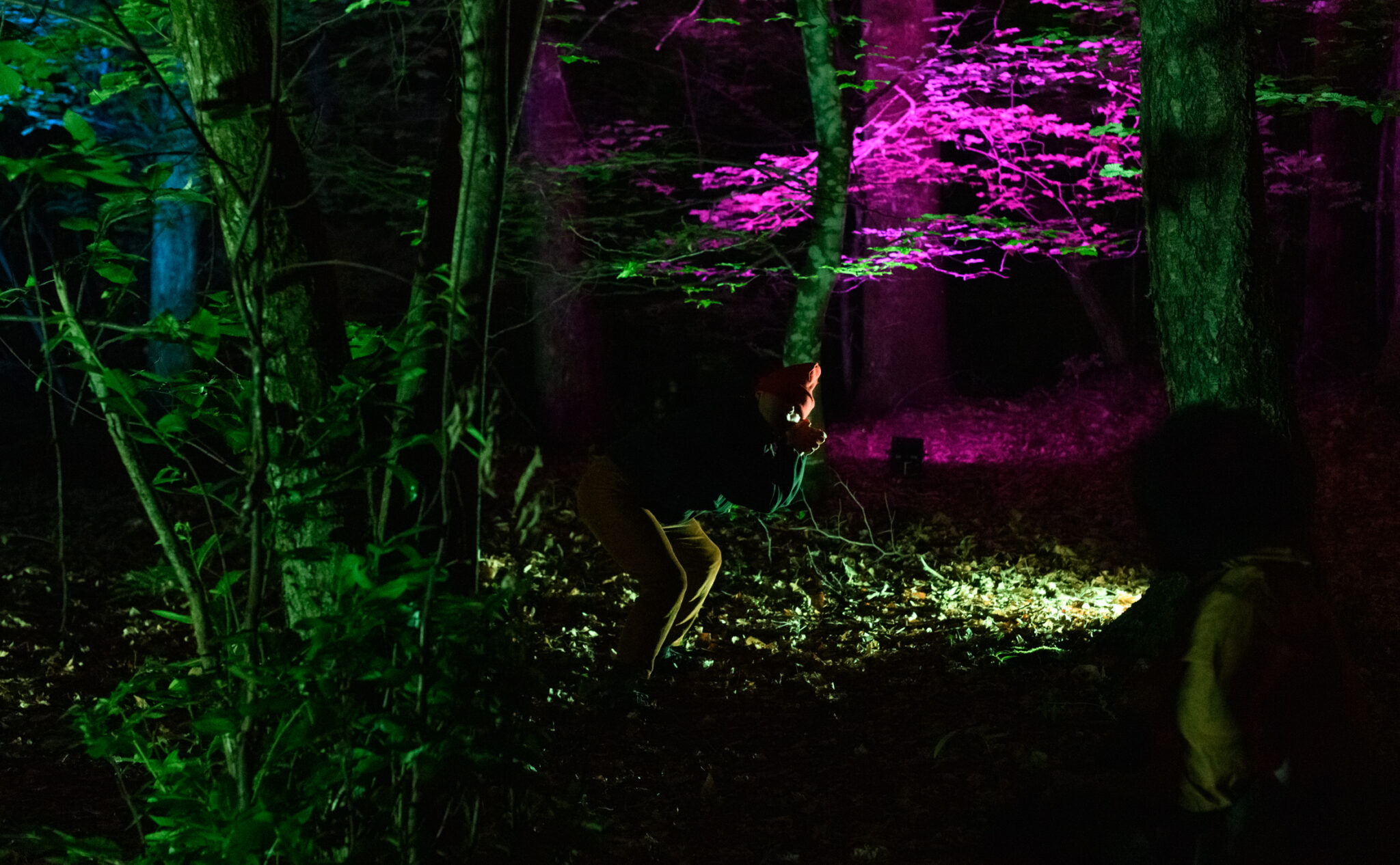ATELIER CHORÉGRAPHIQUE EN FORÊT
