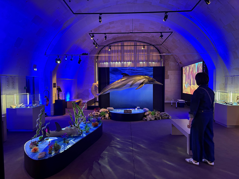 Atelier dans la peau d'un paléontologue