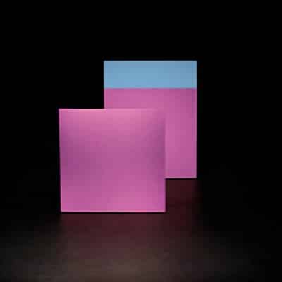 lygia pape