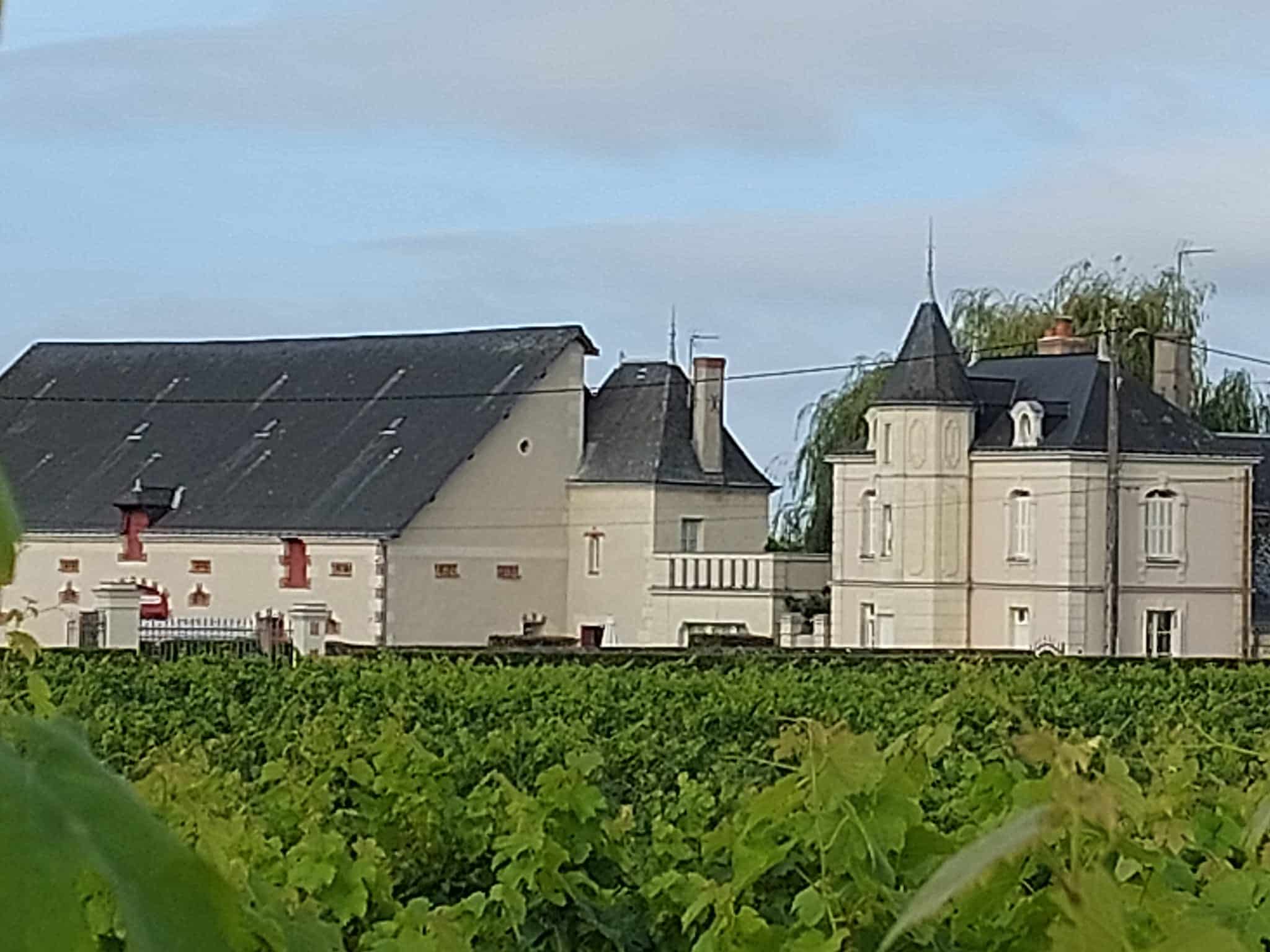 Bourgueil et entrecôte au Domaine des Mailloches