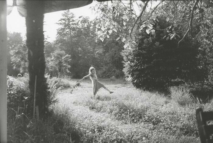 Wild Rose - Exposition - Festival QPN Centre Claude Cahun