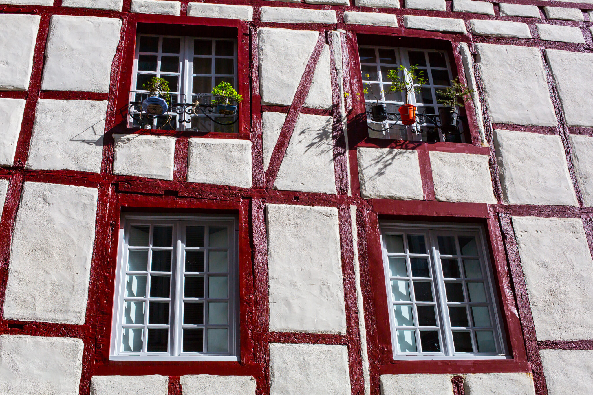 Ciap'Art chasseur de façades