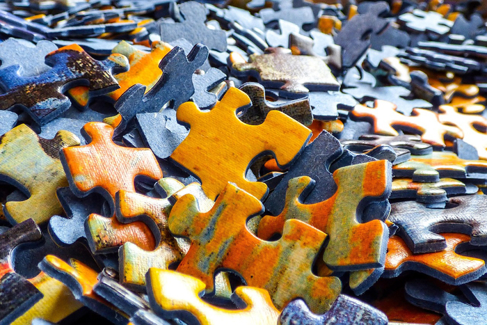 Concours de Puzzle - 1ère édition Espace René-Cassin