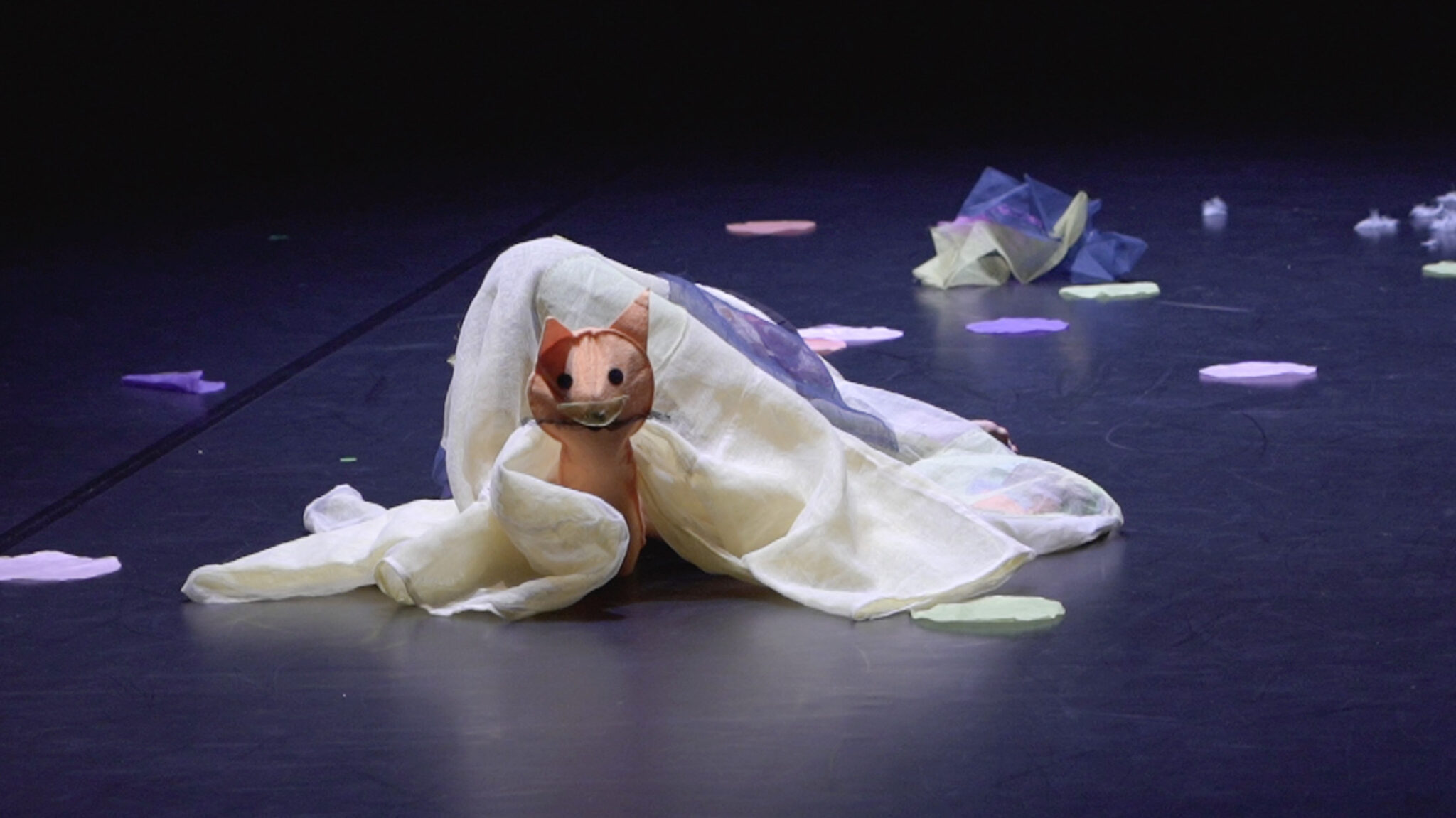 Danse contemporaine Cocon