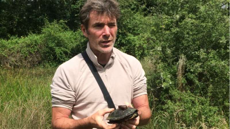 De la recherche à la préservation