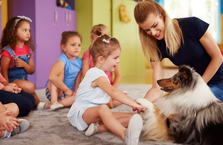 école médiation canine 