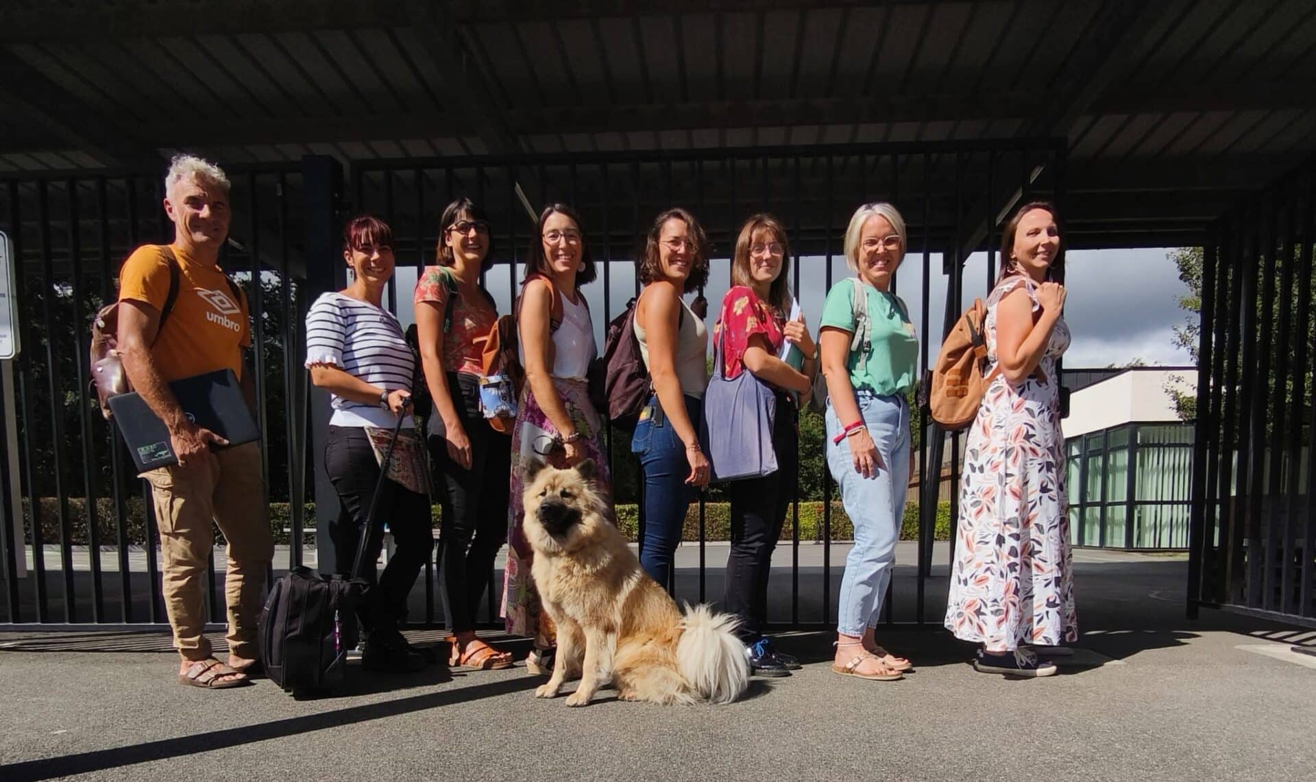 école médiation canine 