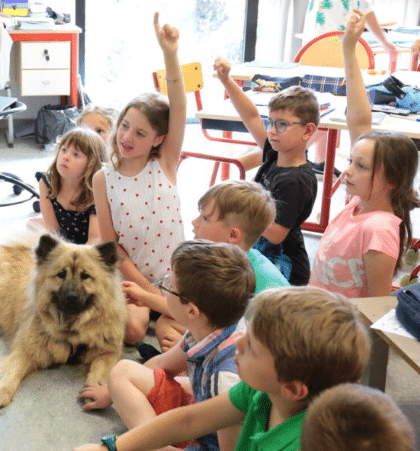 école médiation canine 