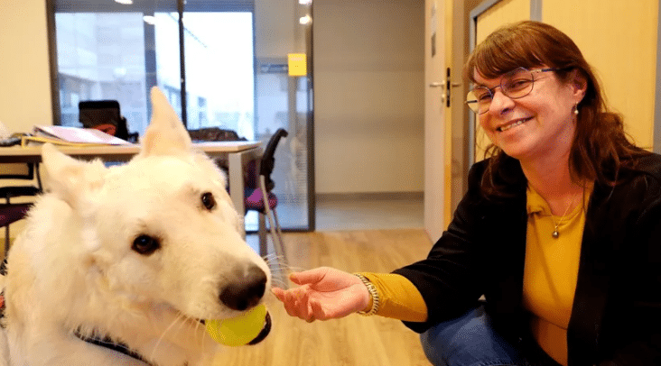 école médiation canine