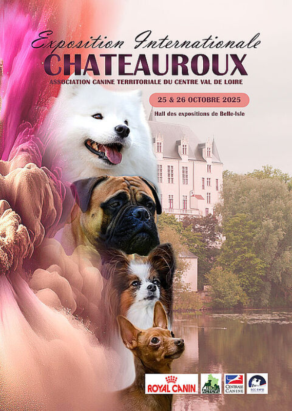 Exposition canine internationale
