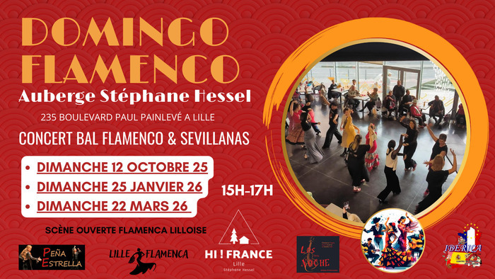 Festival Lille Flamenca: Domingos Flamenco - Peña Estrella Auberge de jeunesse Stéphane Hessel Lille
