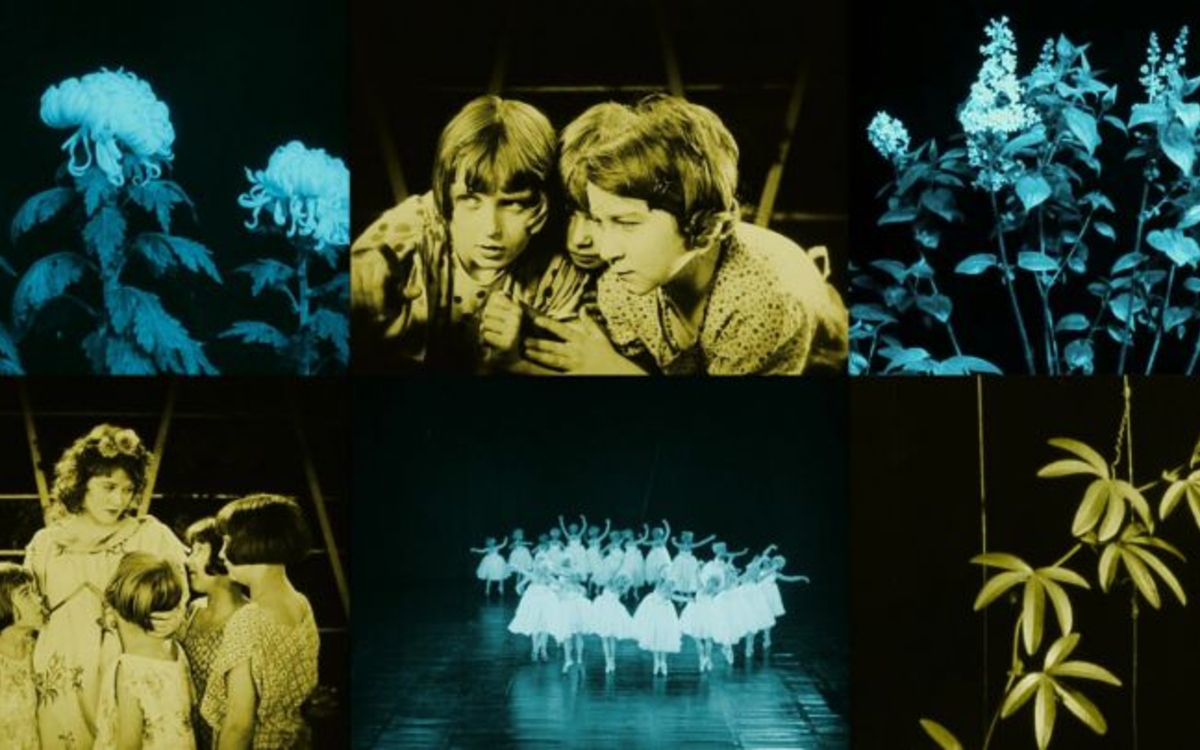 Festival Monte le son - Ciné-concert : Das Blumenwunder (1926) interprété par Christine Ott & Mathieu Gabry Médiathèque Françoise Sagan Paris