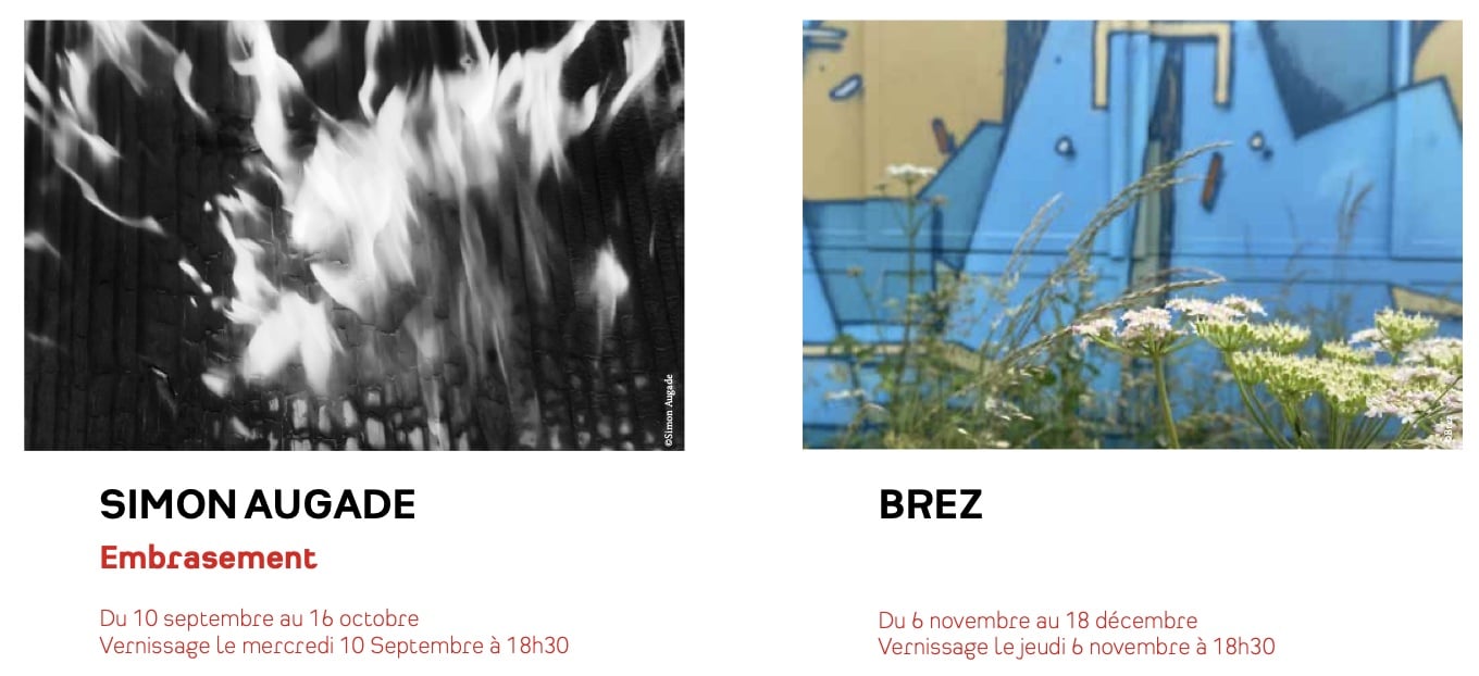 galerie pictura cesson-sevigne