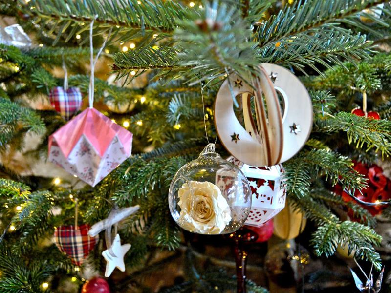 Histoires sous le sapin