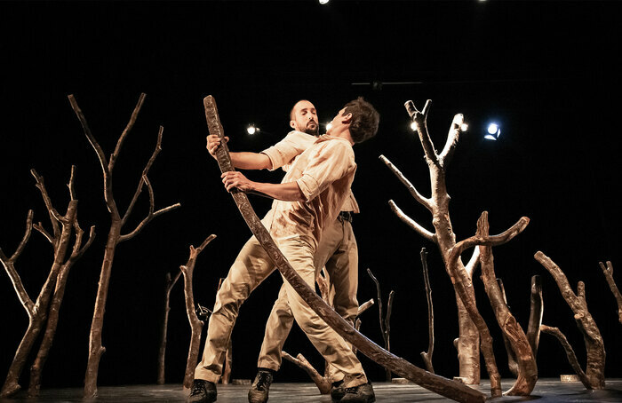 Pour Hêtre - Cie Ieto L'Auditorium