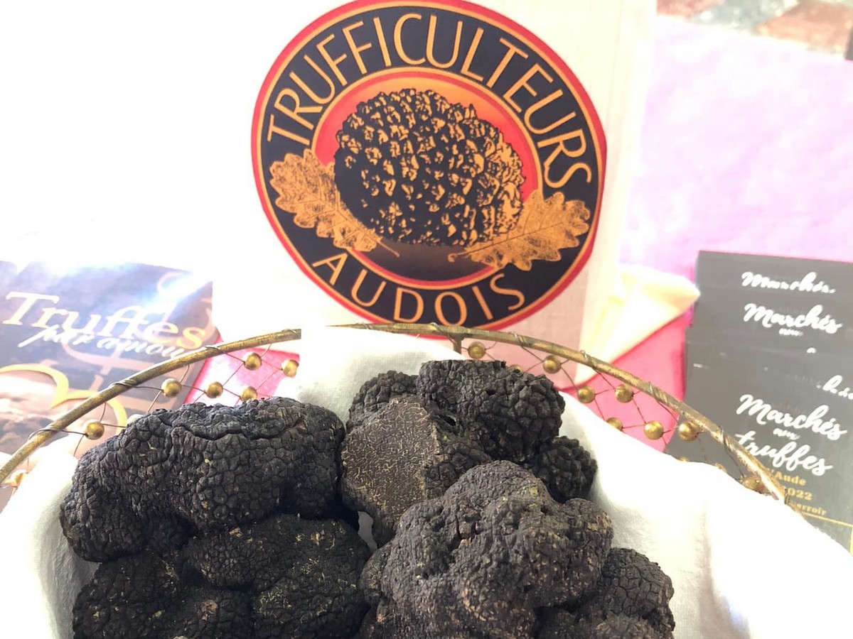 LES AMPÉLOFOLIES DU CABARDÈS TRUFFE ET VIN