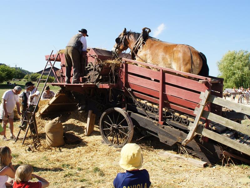 Les Vieux Métiers d'Azannes