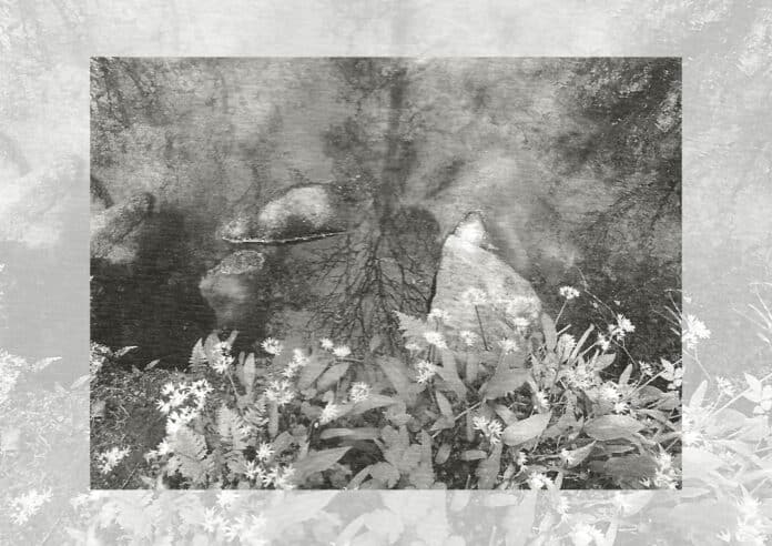 lieux ardents pierre tanguy