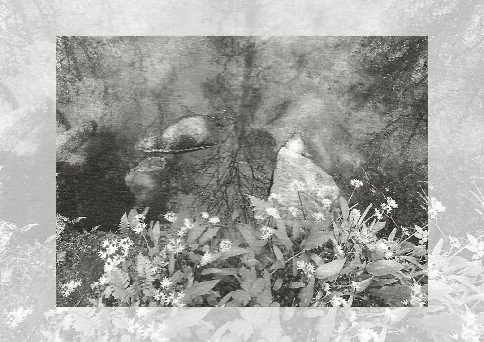 lieux ardents pierre tanguy