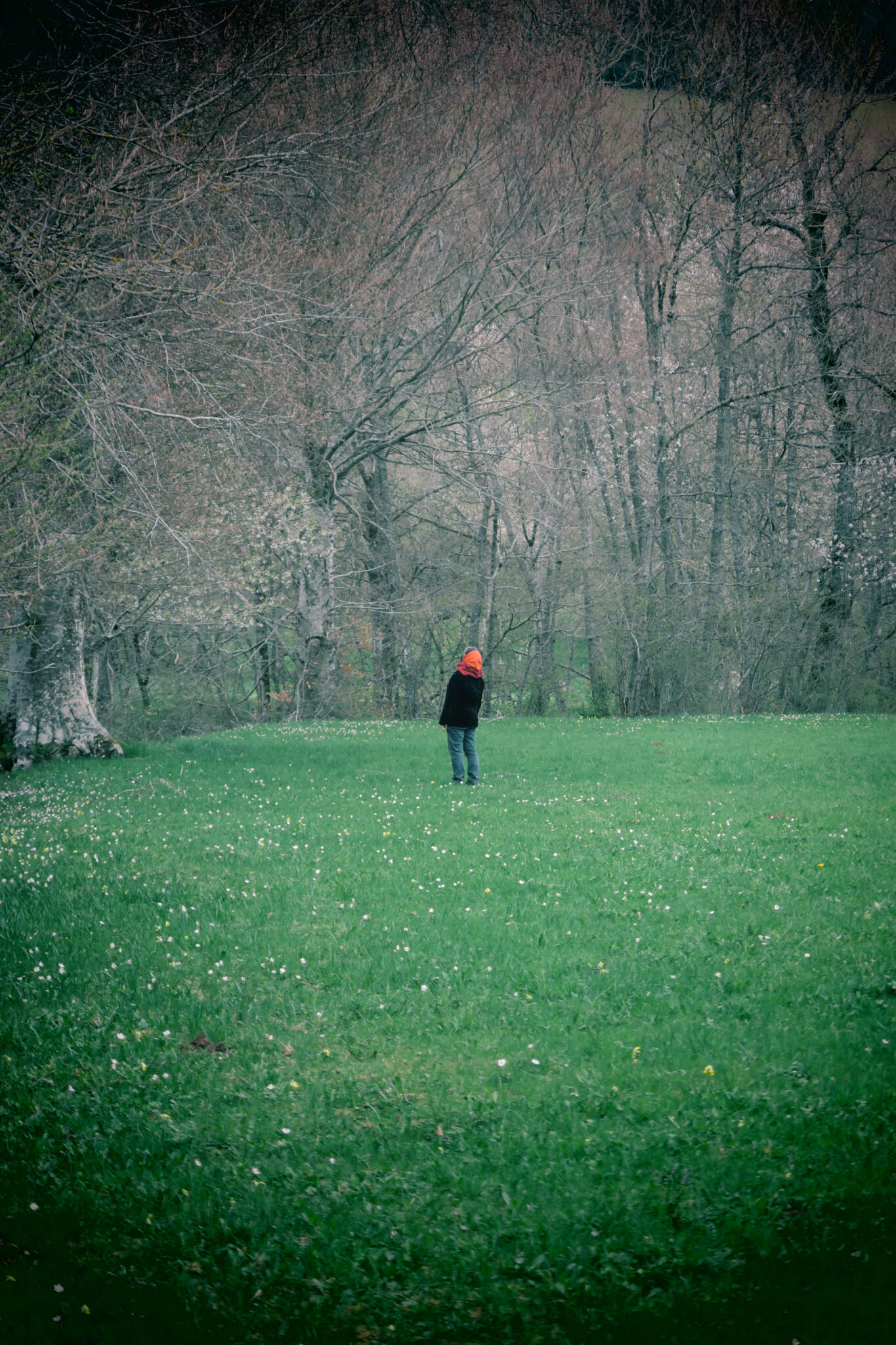 MAISON DANS LA FORÊT DU MONDE SORTIE DE RÉSIDENCE