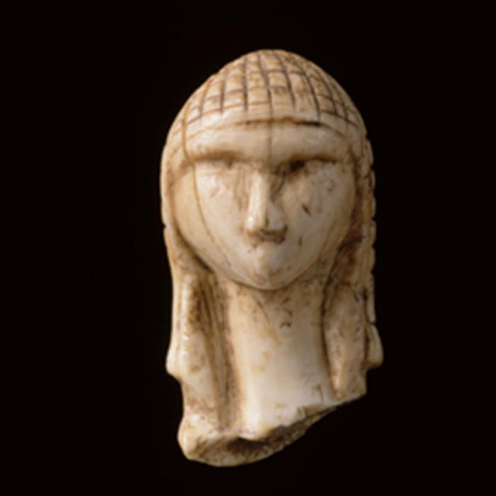 Micro-folie : « Fabuleuse préhistoire » Centre culturel la Source Roncq