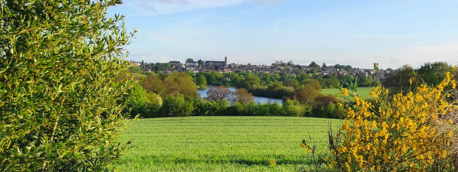 mine or martigne ferchaud