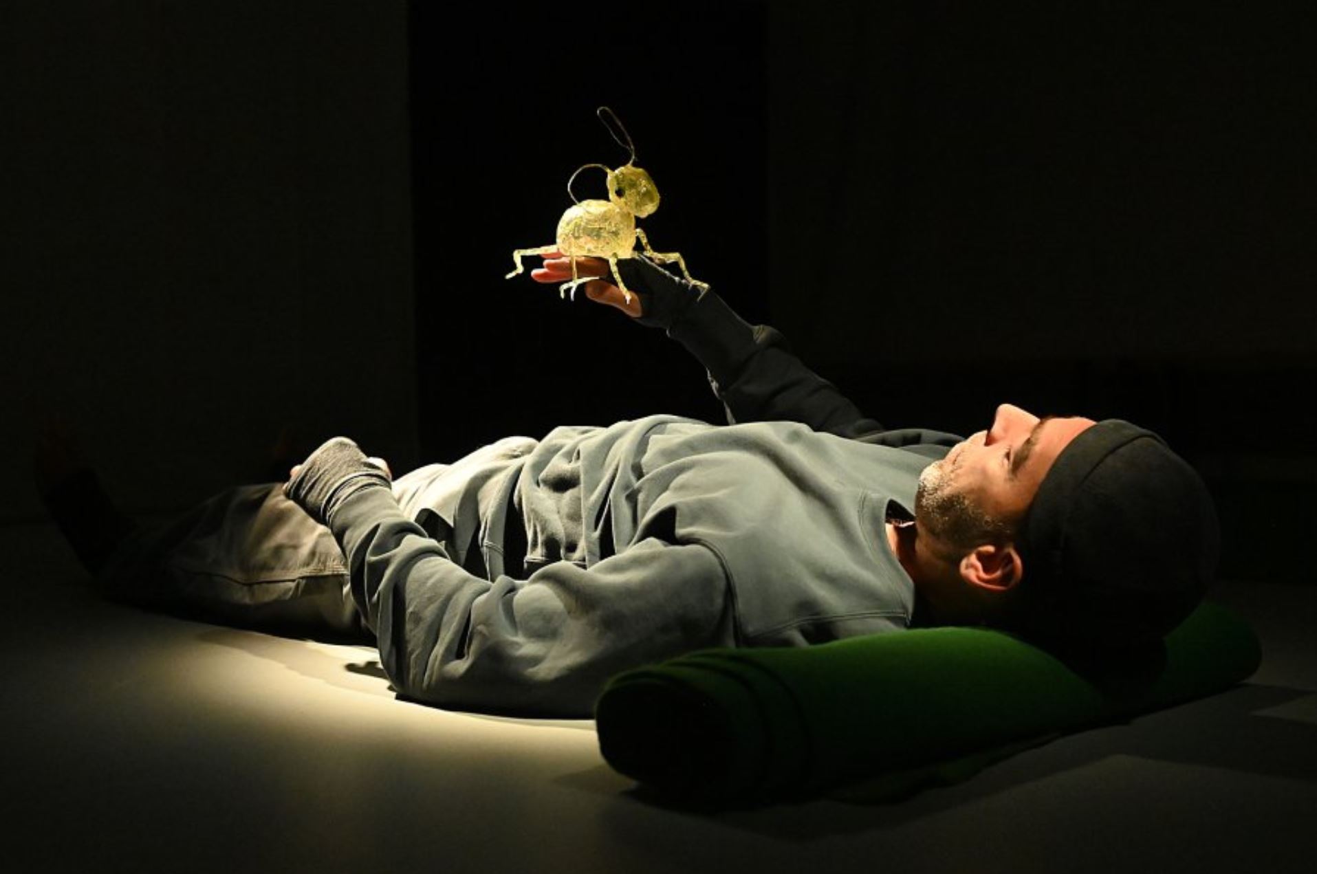 MINIMUS OU LE COLLEMBOLE