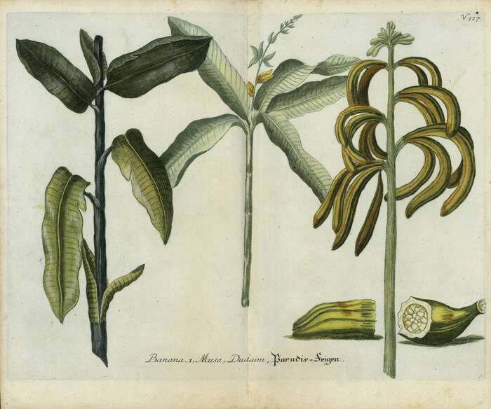 MUSÉOVACANCES Musée des Beaux-Arts Mulhouse