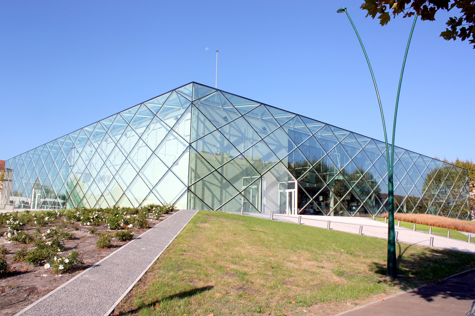 Parlons Science le Microbiote Intestinal