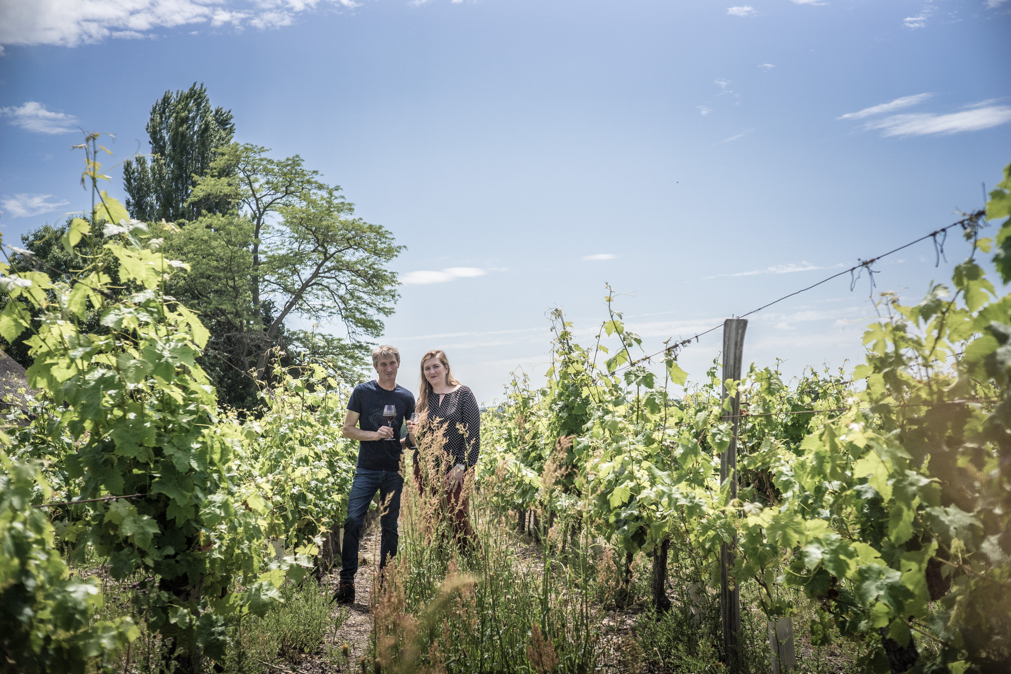 Portes ouvertes au domaine du Fondis