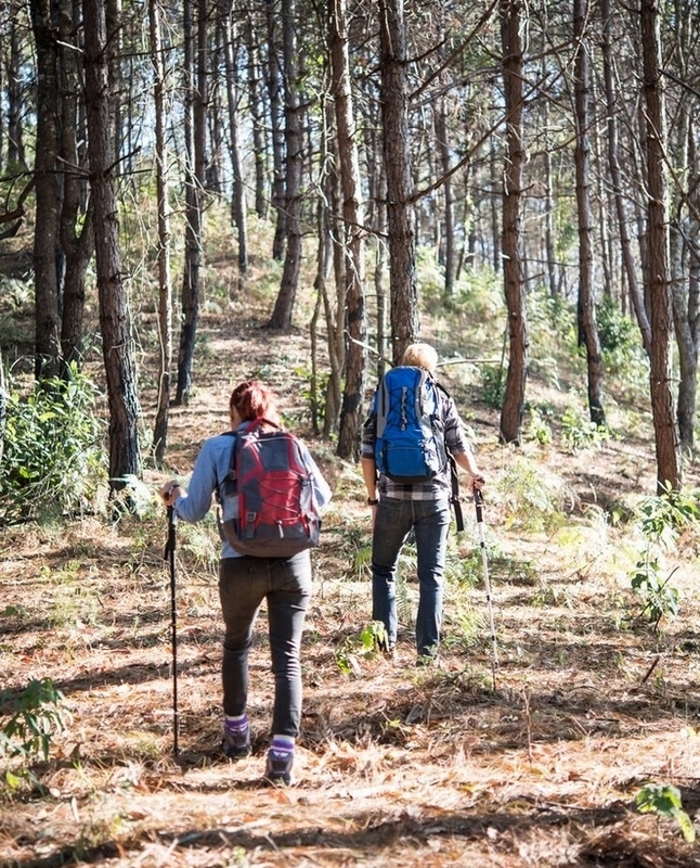 Randonnée découverte à Dampierre
