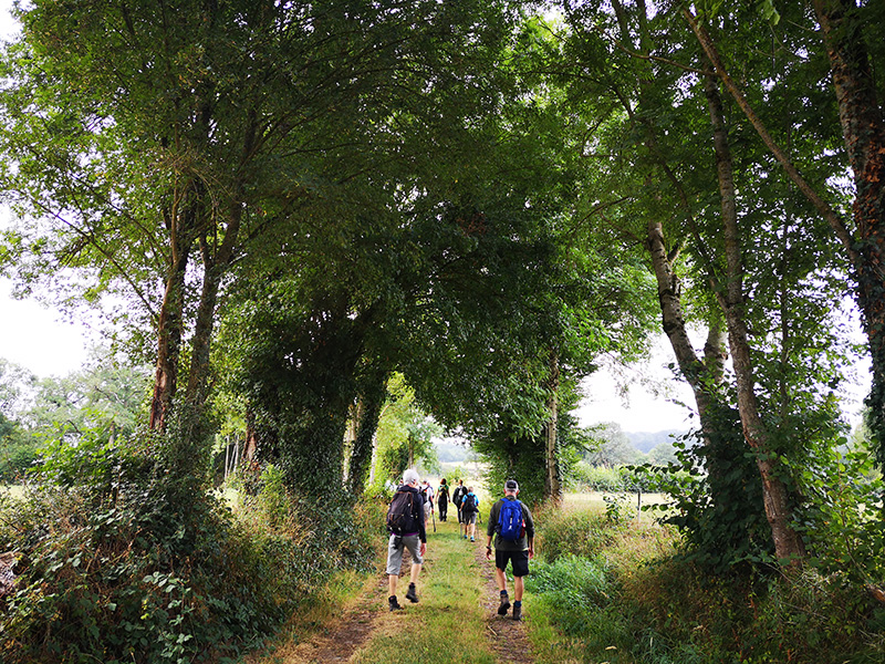 Randonnée semi-nocturne