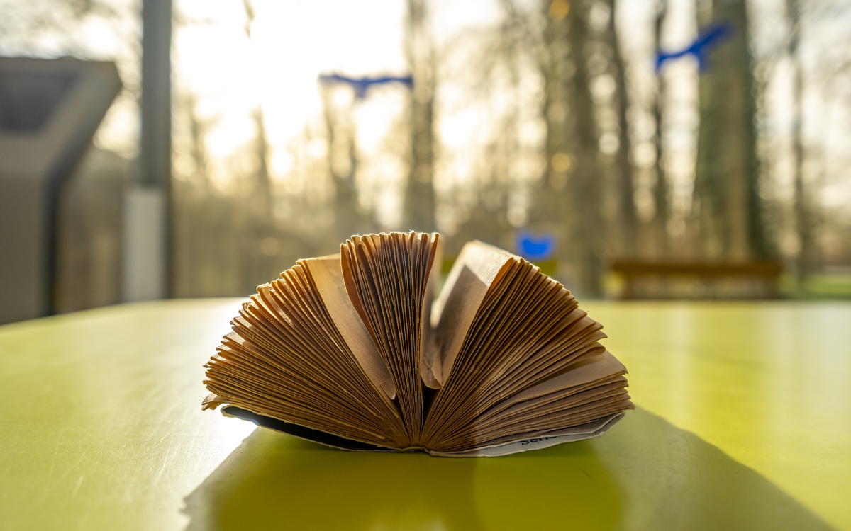 Rencontre avec les auteurs de « Anthologie bilingue de la philosophie en Islam » L’Institut du Monde Arabe Paris France