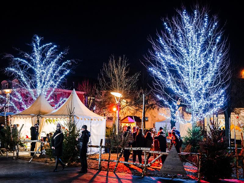 Spectacle Cirque de Noël