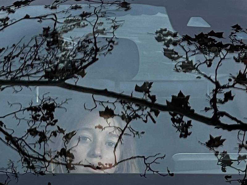 Spectacle Quand la ville se lève