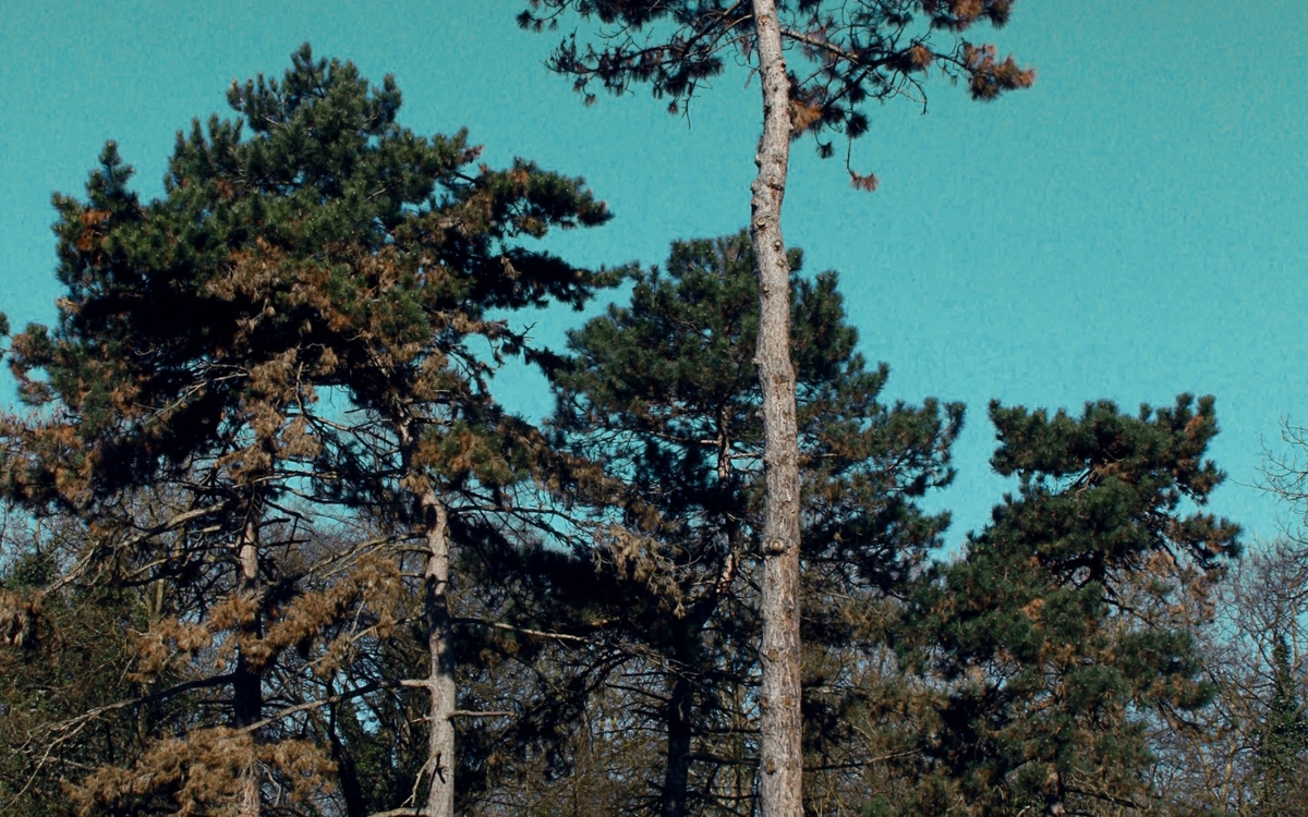 Spectacle : Sous le silence Université Sorbonne Nouvelle - Campus Nation Paris