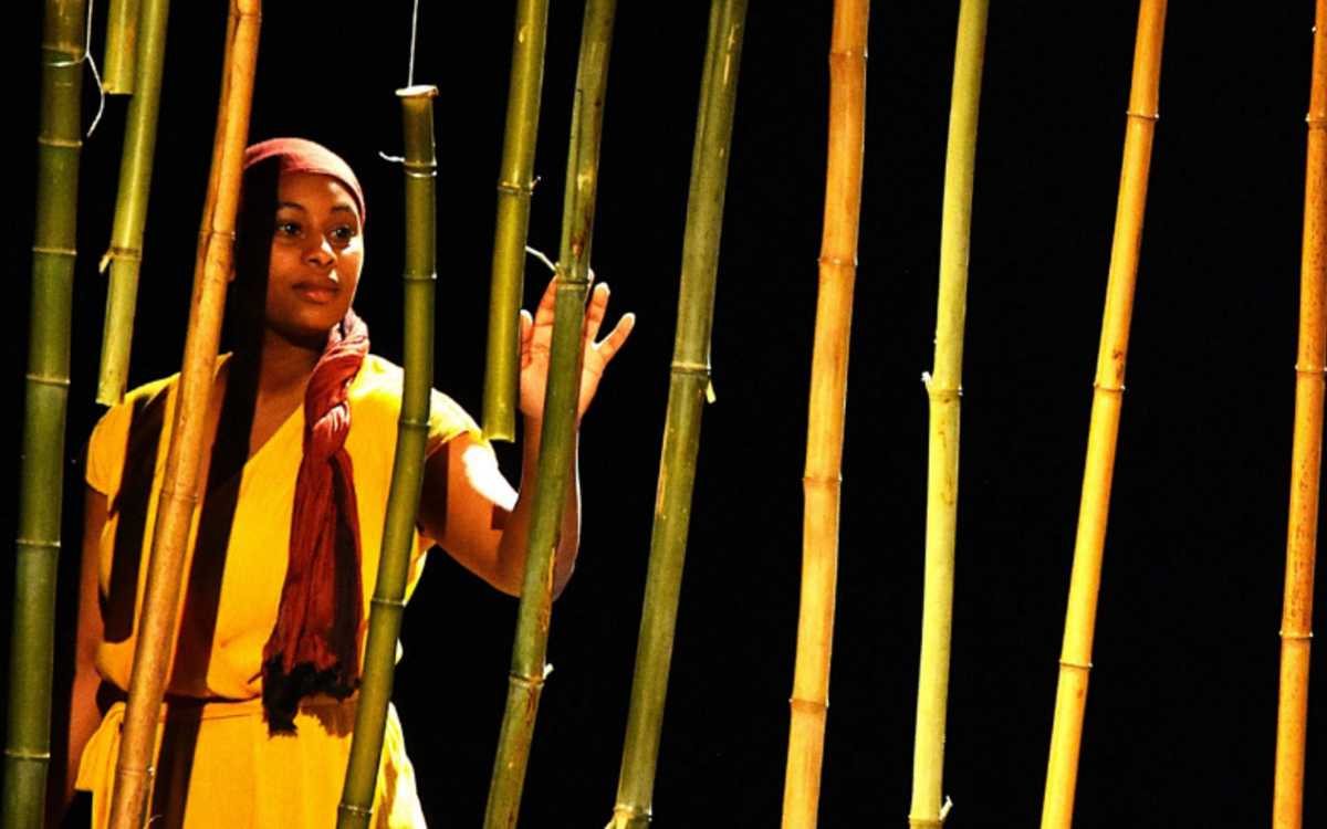 Terre noire - Compagnie Contours Flous Centre Paris Anim' Ruth Bader Ginsburg PARIS