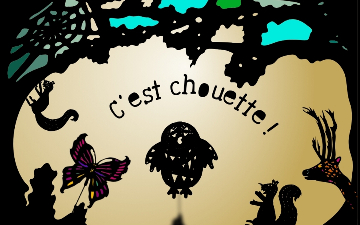 Théâtre d'ombres : "C'est chouette !" Bibliothèque Vaclav Havel Paris